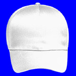 OTTO CAP 5 Panel Mid Profile Baseball Cap
