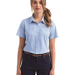 Women's Microcheck Gingham Short Sleeve Cotton Dress Shirt