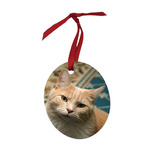 2.35" x 3" Aluminum Oval Ornament