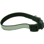 12" to 16" Adjustable Dog Collar