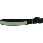 16" to 20" Adjustable Dog Collar