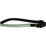 20" to 26" Adjustable Dog Collar